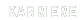 Karriere
